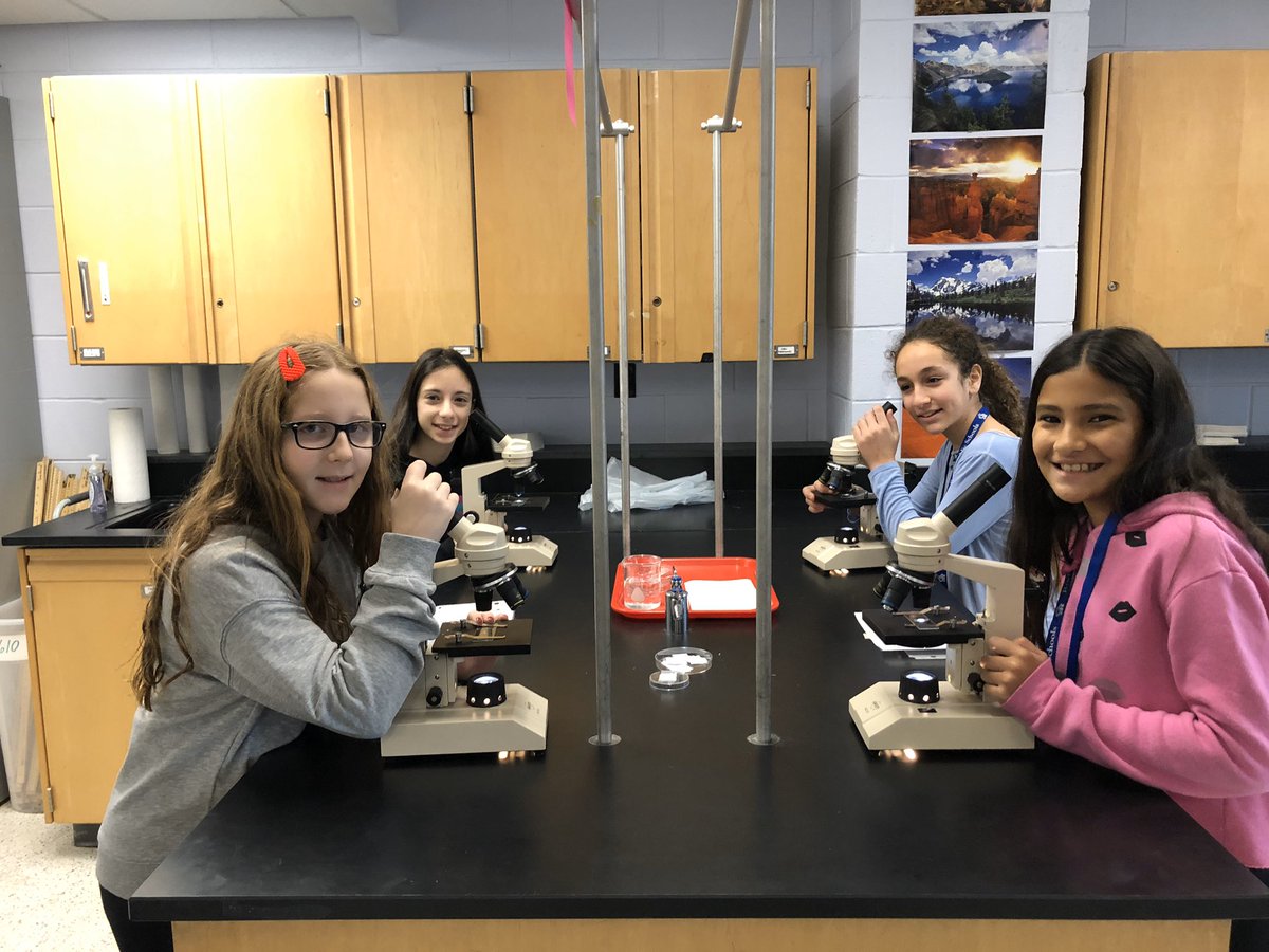 jsheehan927's tweet photo. Mrs. A’s 6th graders learning how to use microscopes🔬 (small objects invisible to the naked eye...beware!) #RoslynSchools #RMSScience @RoslynMS @DaveLaz1 @cjohanson45 @m_goldspiel https://t.co/2DYFobo9Ns