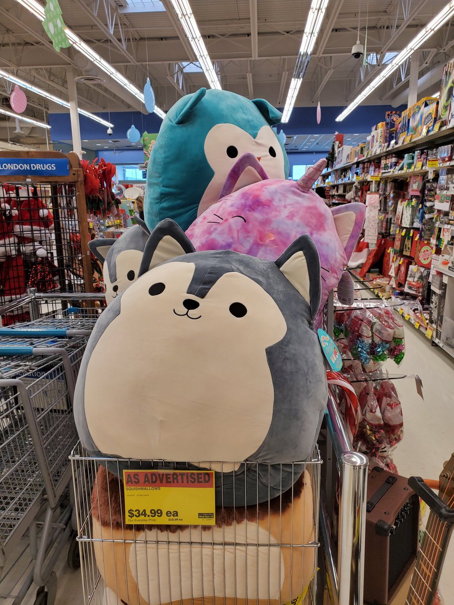 squishmallow husky