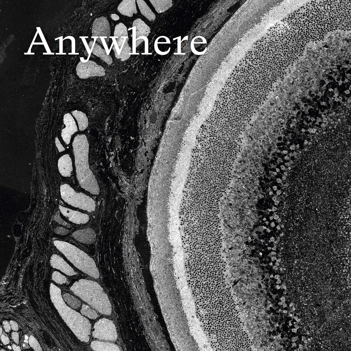 PRJCTAnywhere's tweet photo. Our new publication has just been released!
ANYWHERE iii
Publication featuring contributions from presenters at Anywhere and Elsewhere conference 2018,
Edited by Sean Lowry and Simone Douglas.
Read at: https://t.co/JwG1jnucSj
Download at: https://t.co/bimPYEBLqr https://t.co/czj3XnAXdU