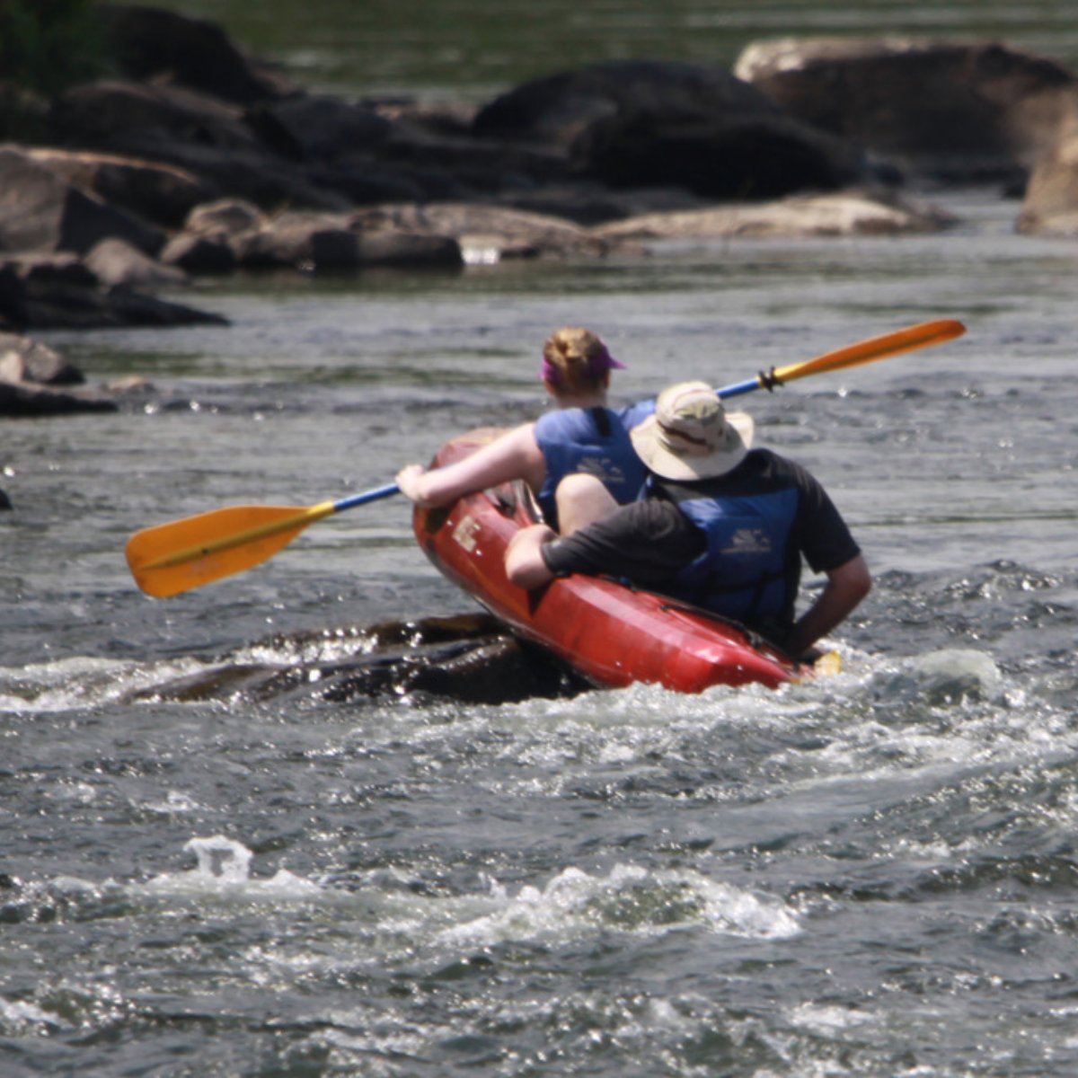 Lander's River Trips tweet media