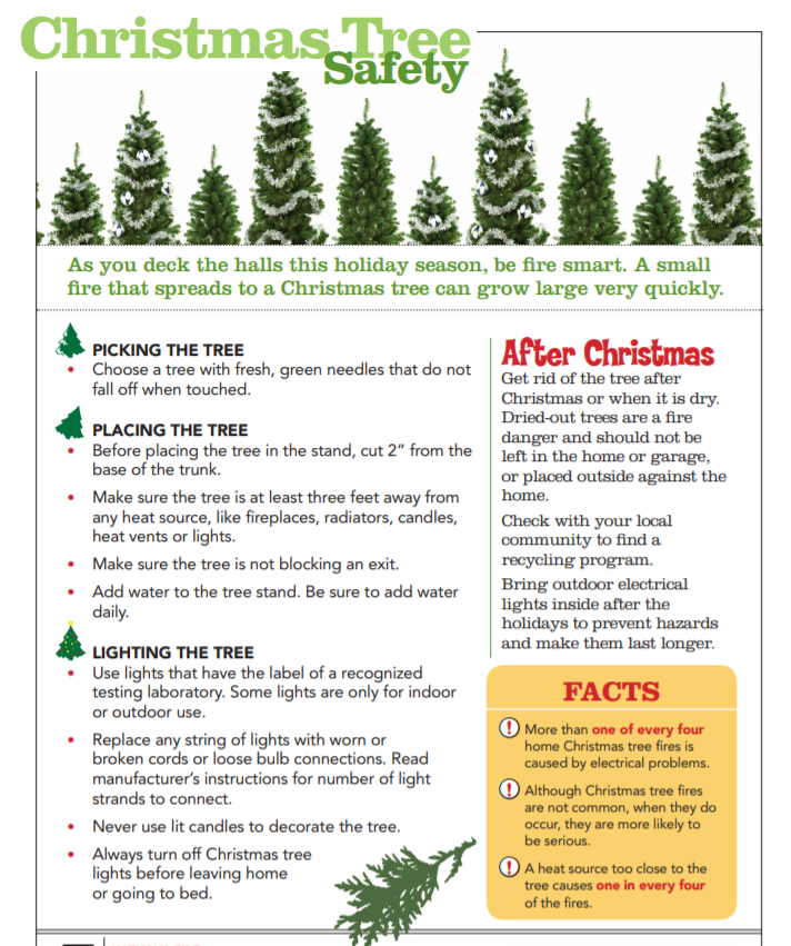 Rusoh_Inc's tweet photo. With the holiday season in full swing, @Rusoh_Inc  wants you to stay safe while you enjoy your festivities. Practice fire safety as you deck the halls and tree.

#Rusoh #Eliminator #FireSafety #FireProtection #HolidayFireSafety #ChristmasSafetyTips #ChristmasTree https://t.co/UNIroblJnI