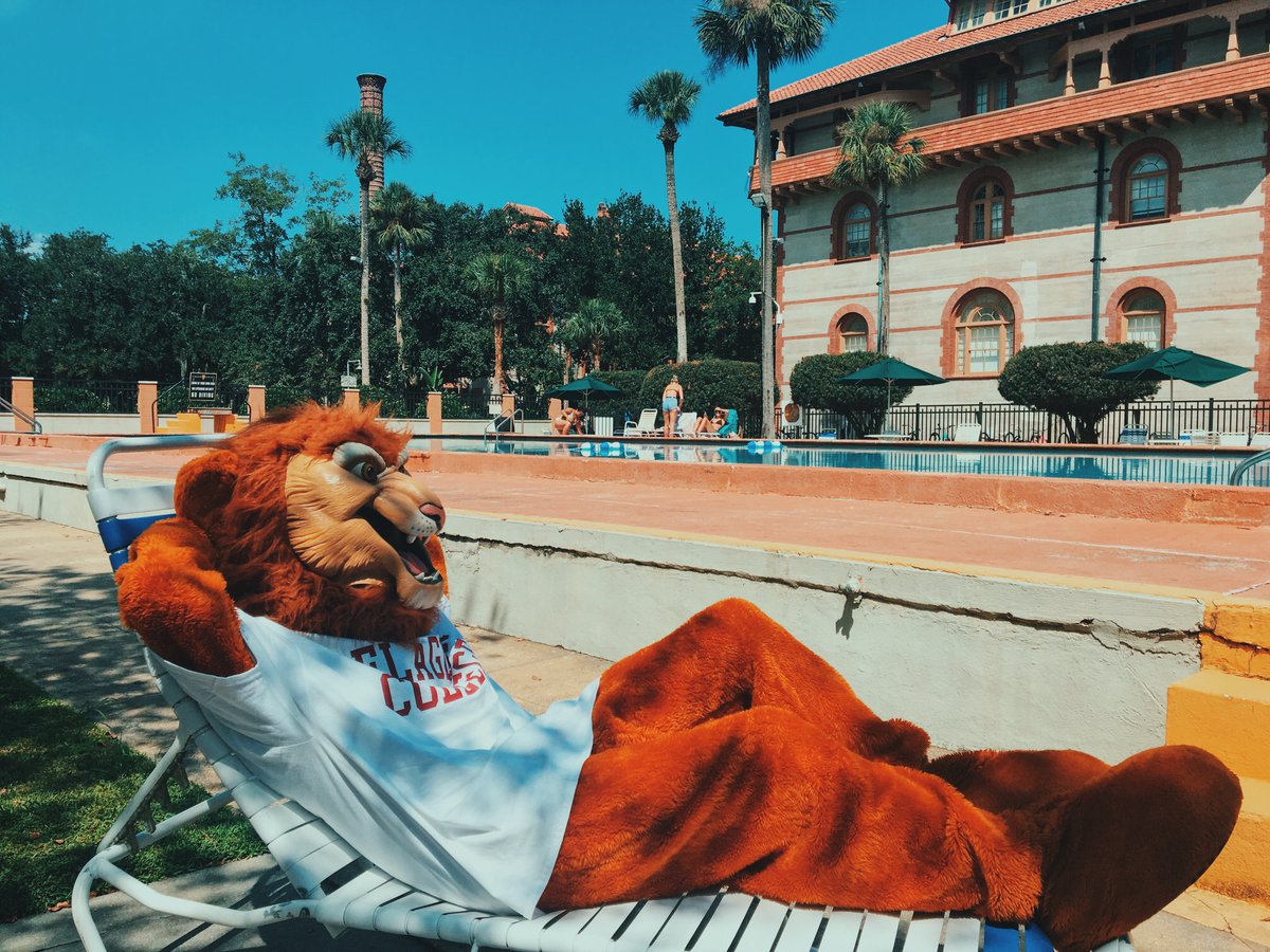 CoDSchoolSearch's tweet photo. Who else is ready for Christmas break?
Lewis the Lion, definitely is. ๐พ
#lifeatflagler
#MascotMonday | Featuring: @flaglercollege https://t.co/BPlnLvmAa7