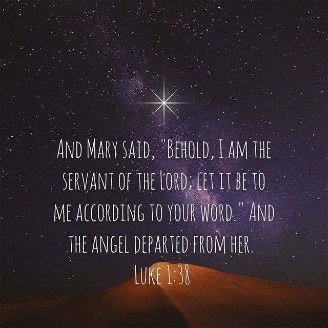 kailee_diaz's tweet photo. Answer God's call with a tender heart #weeklychallenge #MondayMotivation #ChristmasPromise #VerseoftheDay #Jesus #tistheseason https://t.co/DwOUN7hLLT