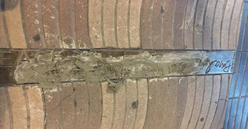 Ver imagen en Twitter