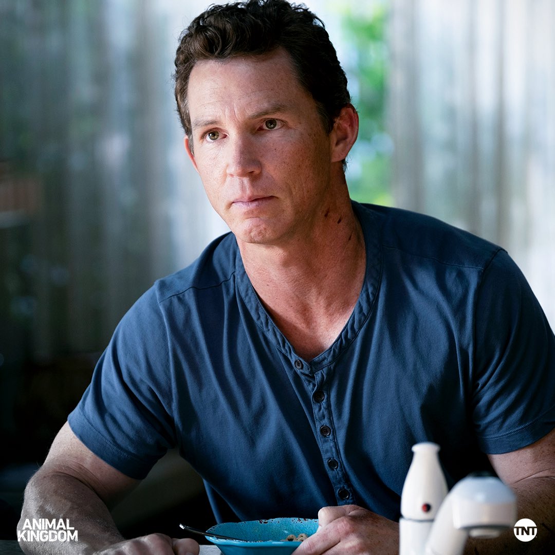 Animal Kingdom tweet media