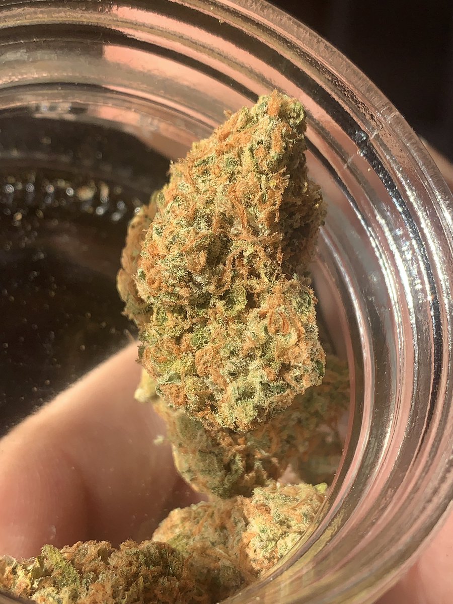 ObiWookGlass's tweet photo. This orange juice from team elite genetics is ridiculous https://t.co/CdWiEUp4OC