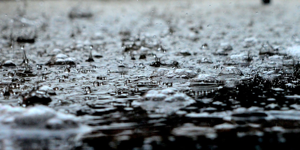 healthypetclub's tweet photo. If your pup isnβt that keen to go on a walk when itβs raining, and even though they might not want to get wet, dogs donβt like rain because the amplified sound hurts their sensitive ears.
#DogsInTheRain #DogFact https://t.co/mkcvyG5sKo