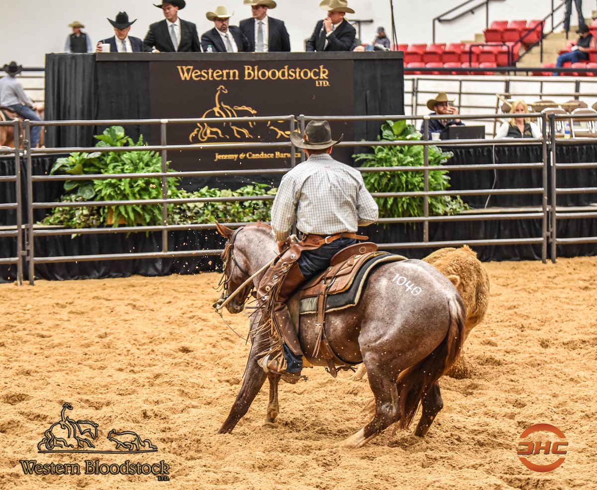 PHorseCentral's tweet photo. LOT #1040 Cat Calling trained by Turner West Performance Horses is the high seller so far today at the Western Bloodstock LTD. #NCHA Futurity 2YO Sale -Session 1. The 2017 Red Roan Colt sired by #HighBrowCat out of Peptos Fancy Jewel was purchased by Peter & Nora Stent for $265K https://t.co/ZwdidCJwY2