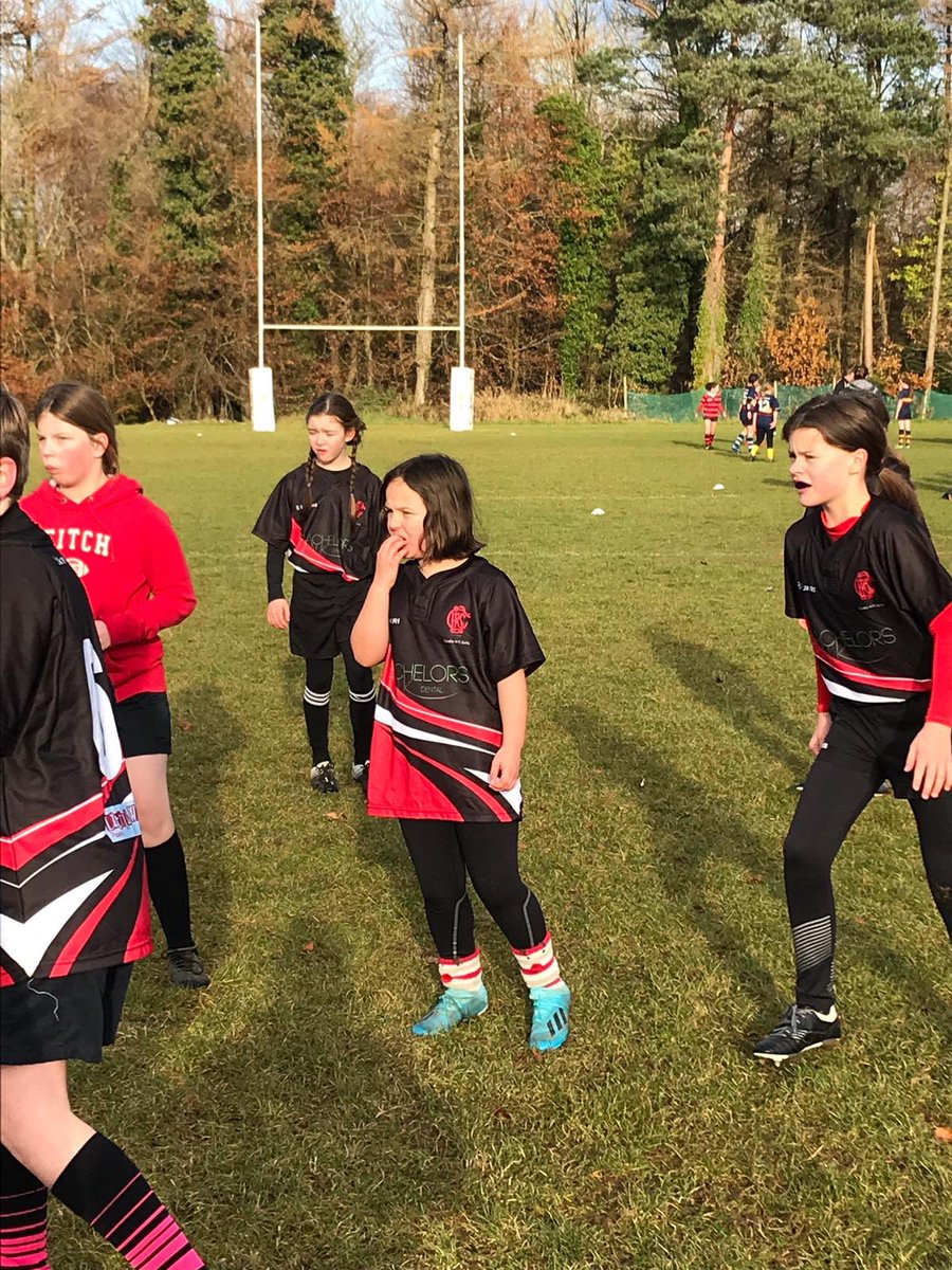 Rugby in Ulster tweet media