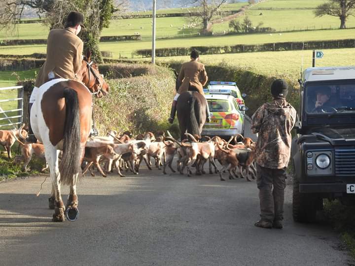 Flint and Denbigh hunt being escorted by their staff