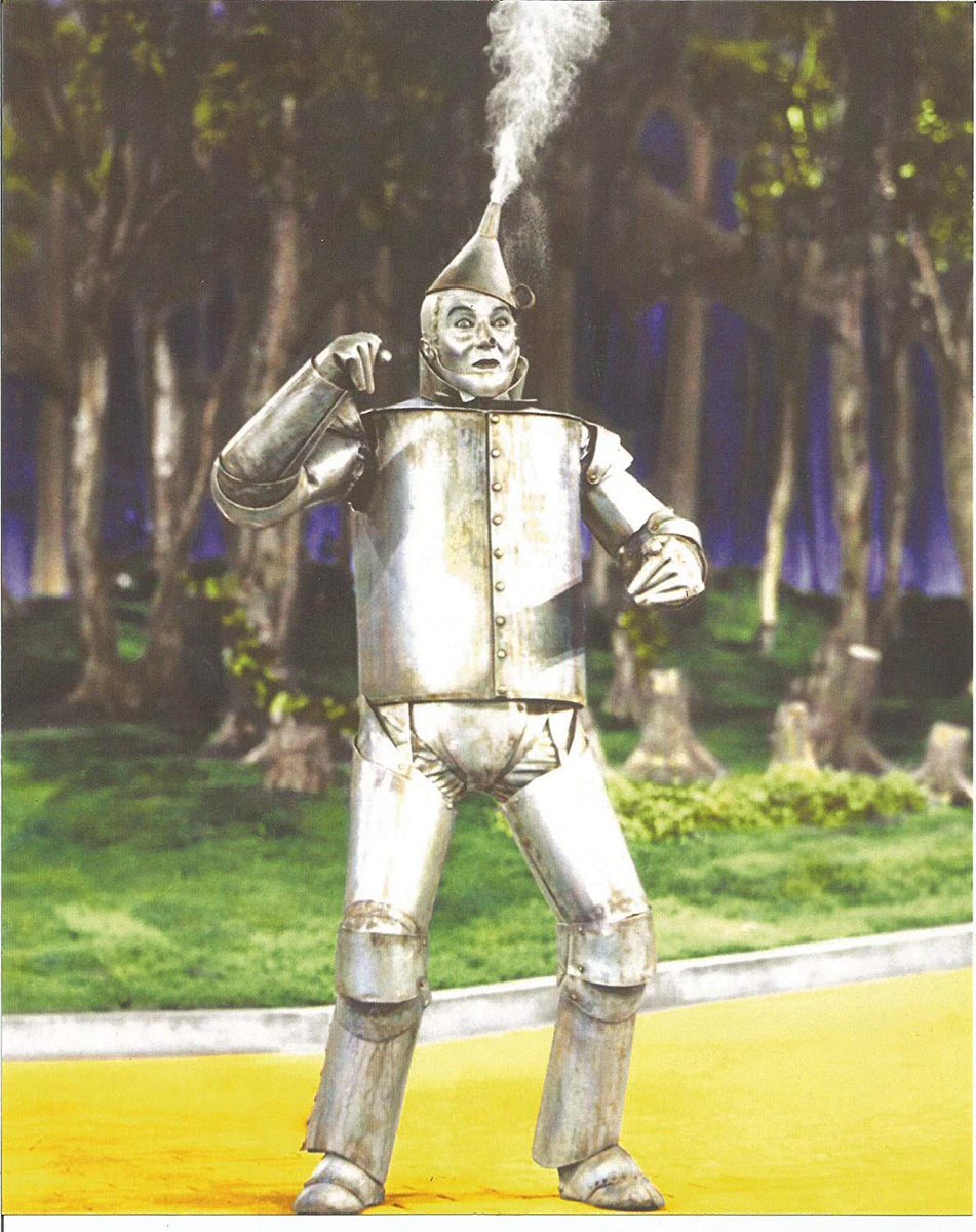 Y’all remember tin man from wizard of oz? 