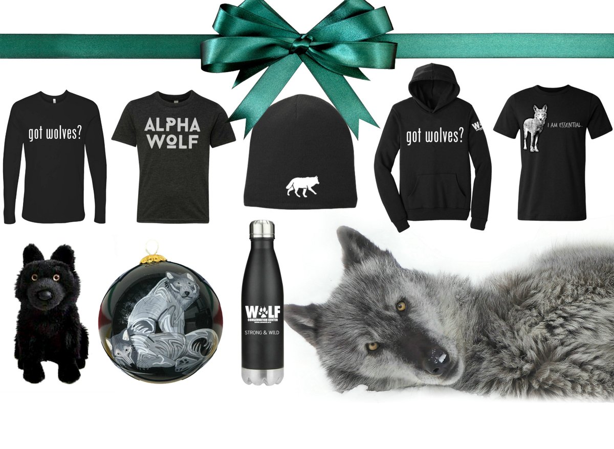 🐺 Gifts that Give Back to the Wolves! 
Share your love for wolves this holiday season! Find wonderfully wild items for people of all ages!
Shop here ➡️ nywolf.org/shop/
