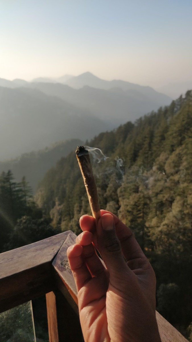 weedthotss's tweet photo. favorite smoke spot? #replythread https://t.co/oYDmOok2Co