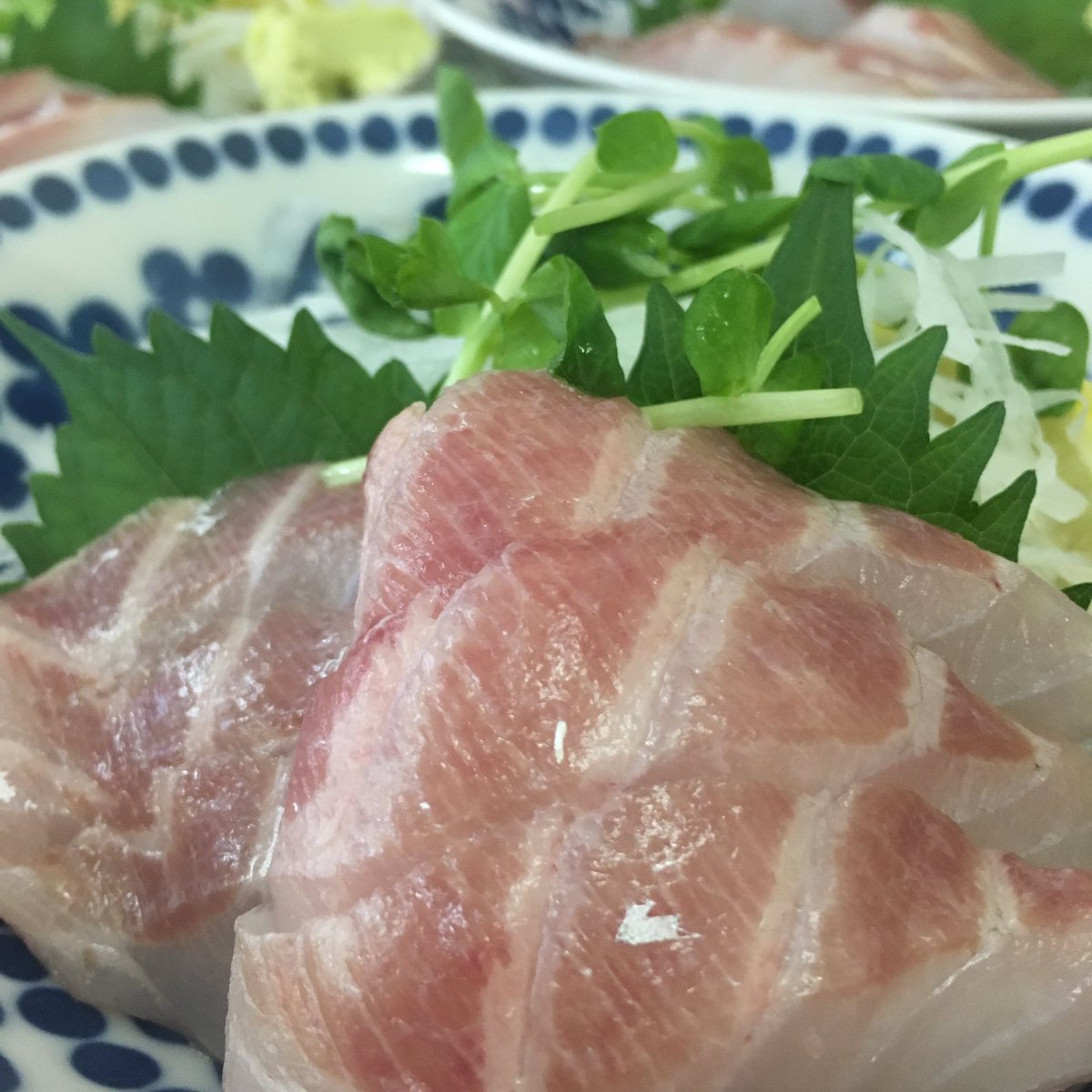 あずきな 大衆食堂ニュー富士 こんなんとか すずきの刺身 350円 あずきな 大衆食堂ニュー富士 こんなんとか すずきの刺身 350円