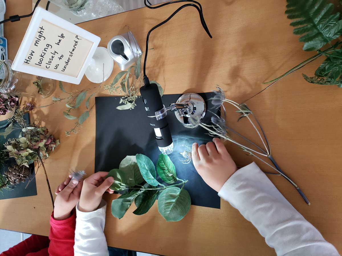 Natasha Chiang Tham tweet media