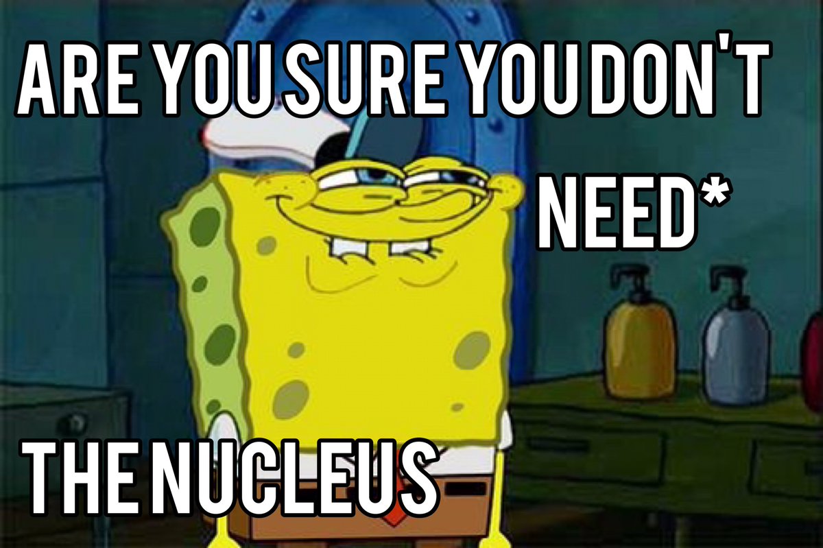 NickyNe44922774's tweet photo. The cells not gonna get busy without the nucleus.  
[ Vote • for • Nucleus ] 
@NickyNe44922774 #RHSorganellewars https://t.co/CpPWv9ZCcB