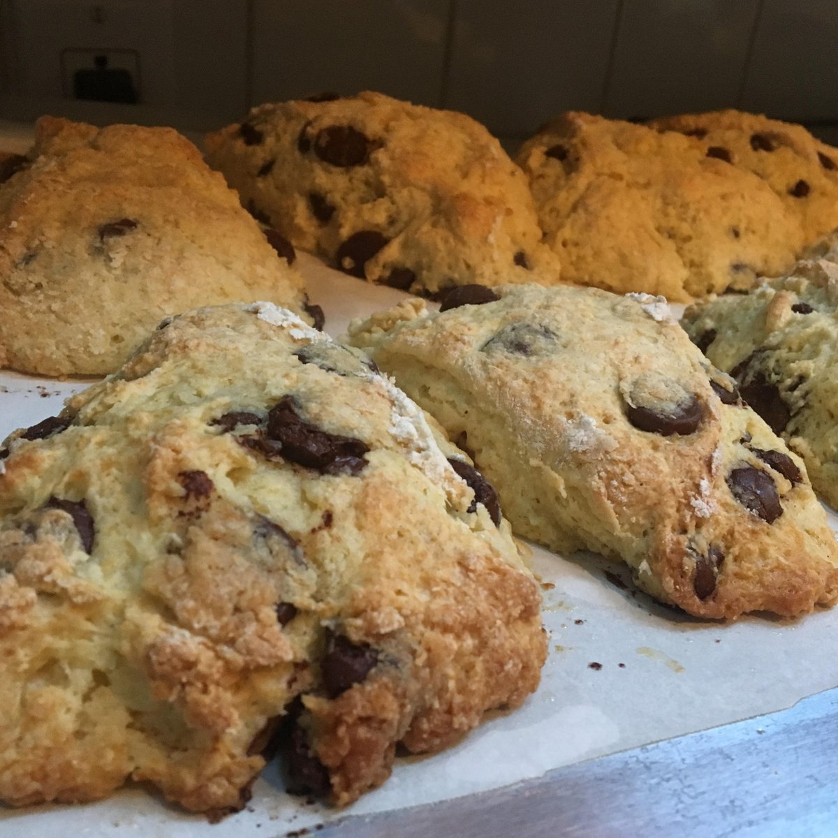 OatisEvan's tweet photo. Does anyone have any opinion or suggestions on what treat they want as a bribe for my #NYUFA19 presentation? https://t.co/LukneNHad5