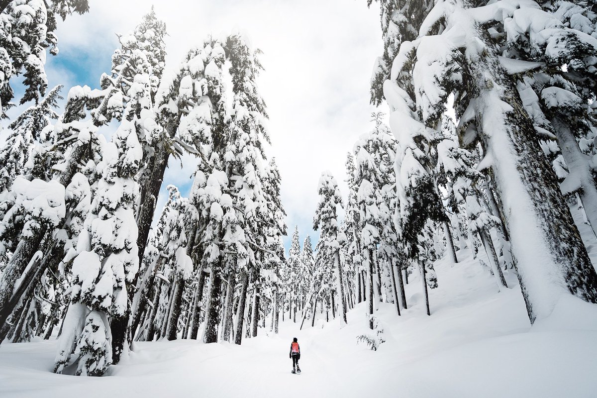 Eclipse Beverage tweet media