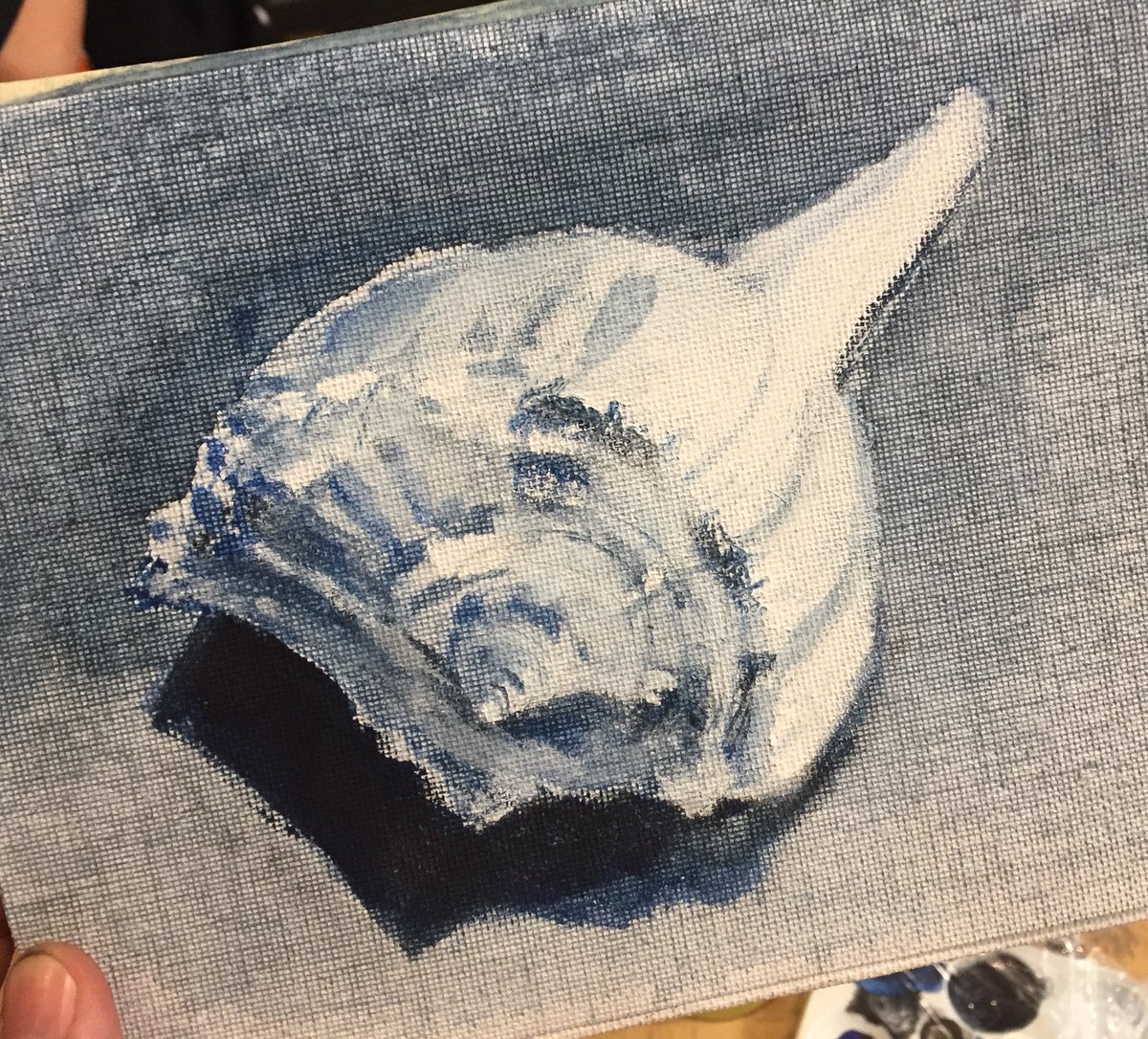Shell studies in Painting
