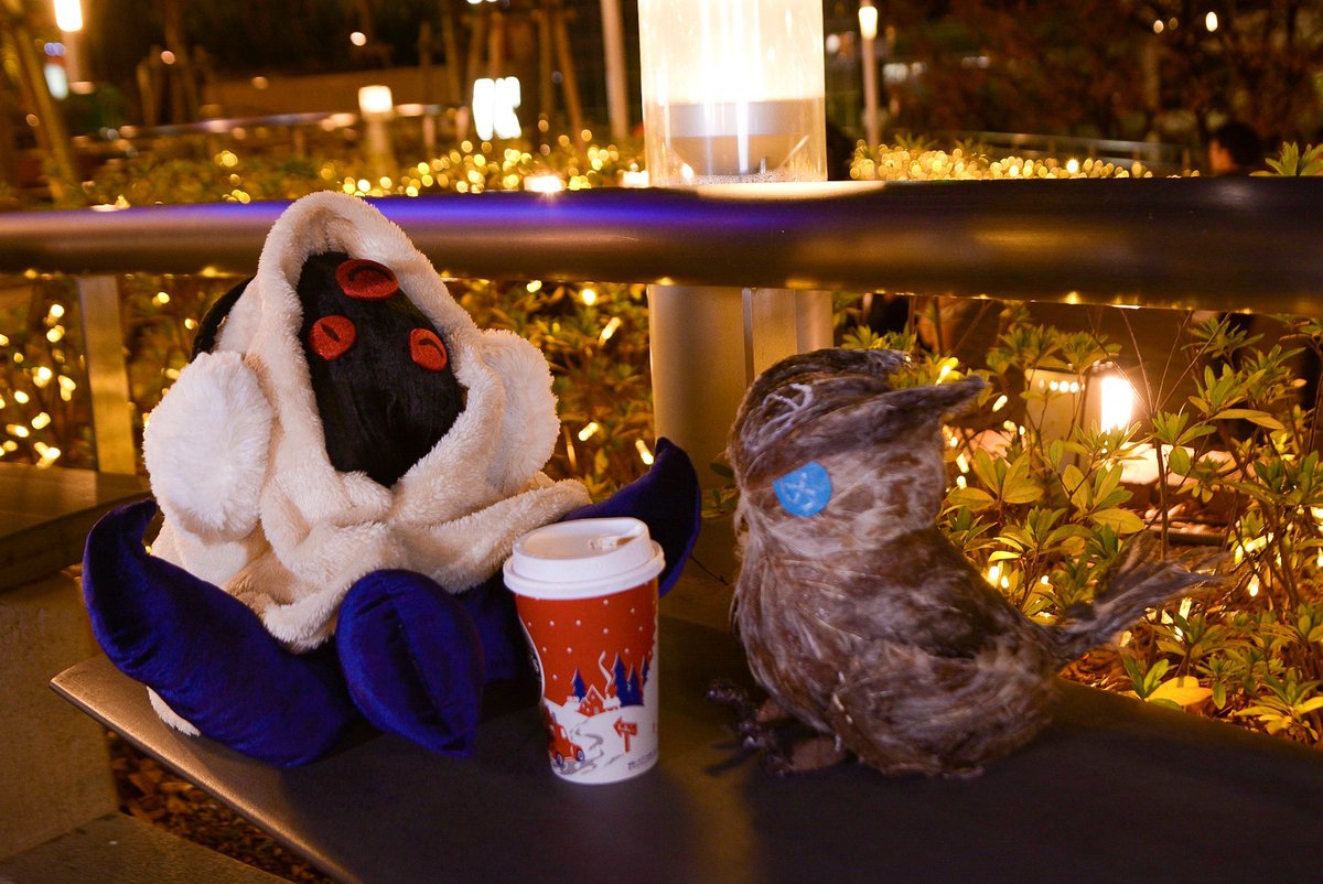 トージ❄️ tweet media