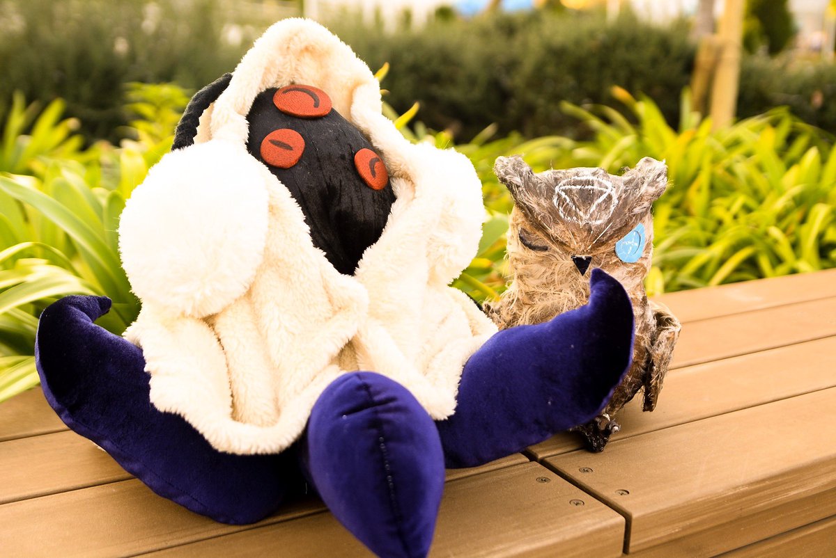 トージ❄️ tweet media