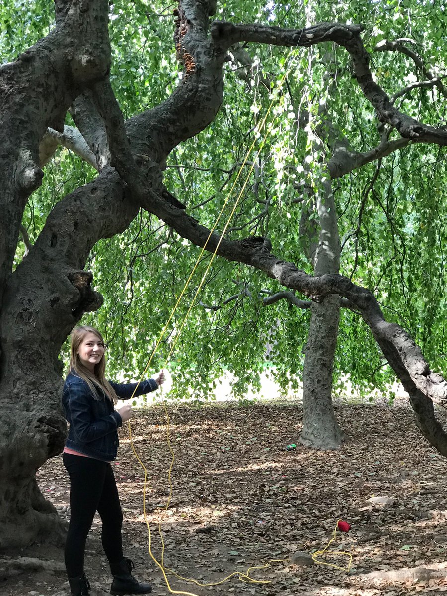 Our famous High Limb Chainsaw is in Northern Tool! You can purchase on their website. This product is so easy to use that anyone can buy and use this product! This is also a great Christmas or Hanukkah present!Purchase today!m.northerntool.com/shop/tools/pro…
#chainsaw #saw  #northerntool