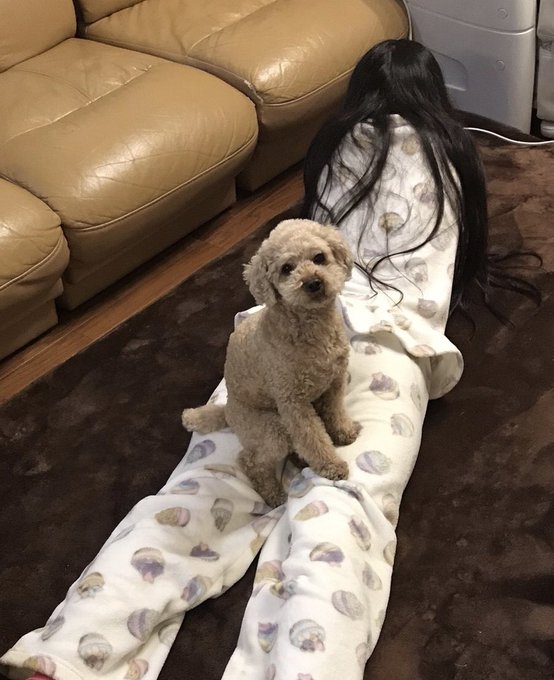 Twitterのコスプレ画像48