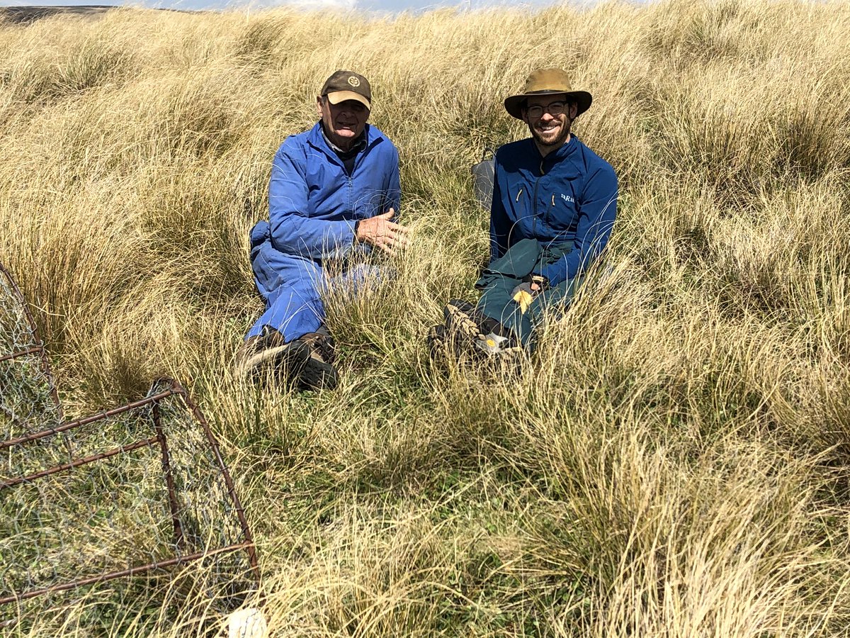 NZGrassland's tweet photo. New Land and Environment team member, Mitchell, recent arrival from USA, learning about extensive NZ farm systems from southern farming Yoda, Pat Garden at Avenel @AgResearchNEWS #NZgrasslands #lotus #tussocks https://t.co/DMGHxrtJq9