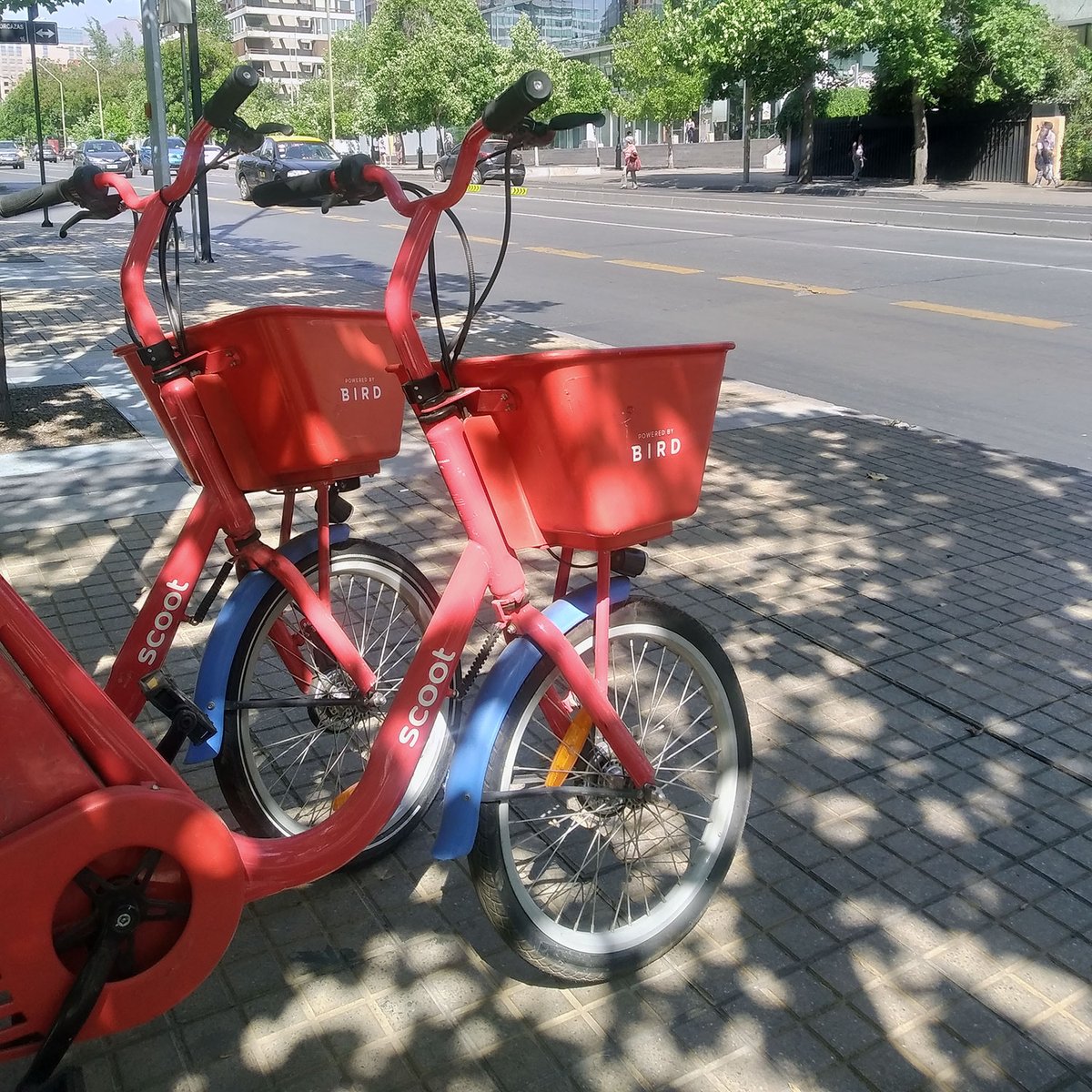 scoot_scl's tweet photo. Recuerda moverte por la ciclovía y ojalá por la sombra... el sol derrite los bombones 😎🚲🌞🍫🤙

#Electromovilidad https://t.co/cdj7klBlZi