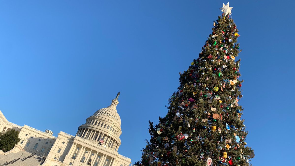 AmericanForests's tweet photo. “This tree embodies the spirit of unity. It reminds us that even in a nation as diverse as the United States, we are one people”, said Forest Service Chief Vicki Christiansen. @CarsonNF @forestservice @NewMexico #CapitolTree #CapitolChristamasTree #TreeofEnchantment https://t.co/2BBPyU5uAF