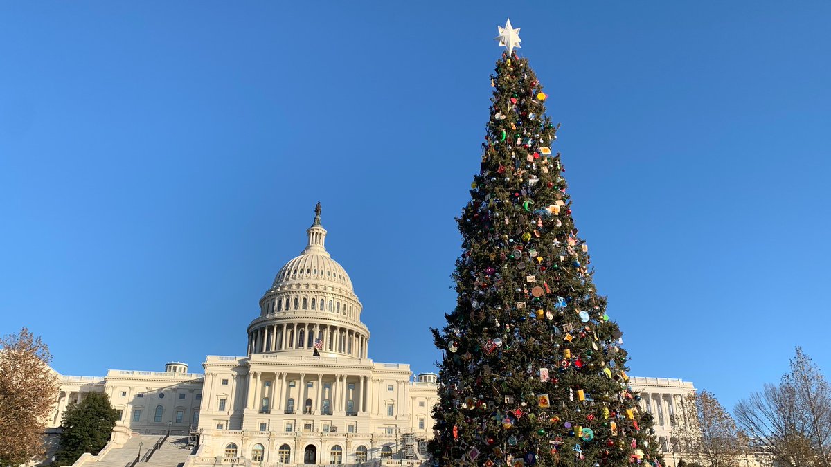 AmericanForests's tweet photo. “This tree embodies the spirit of unity. It reminds us that even in a nation as diverse as the United States, we are one people”, said Forest Service Chief Vicki Christiansen. @CarsonNF @forestservice @NewMexico #CapitolTree #CapitolChristamasTree #TreeofEnchantment https://t.co/2BBPyU5uAF