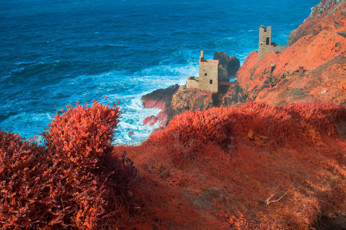 KernowChrome's tweet photo. The Crowns engine houses, Botallack, West Cornwall   #infrared #infraredphoto #infraredphotography #aerochrome #cornwall #abandoned #abandonedplaces #deserted #derelict #botallack #pendeen https://t.co/4oy2NucaXl
