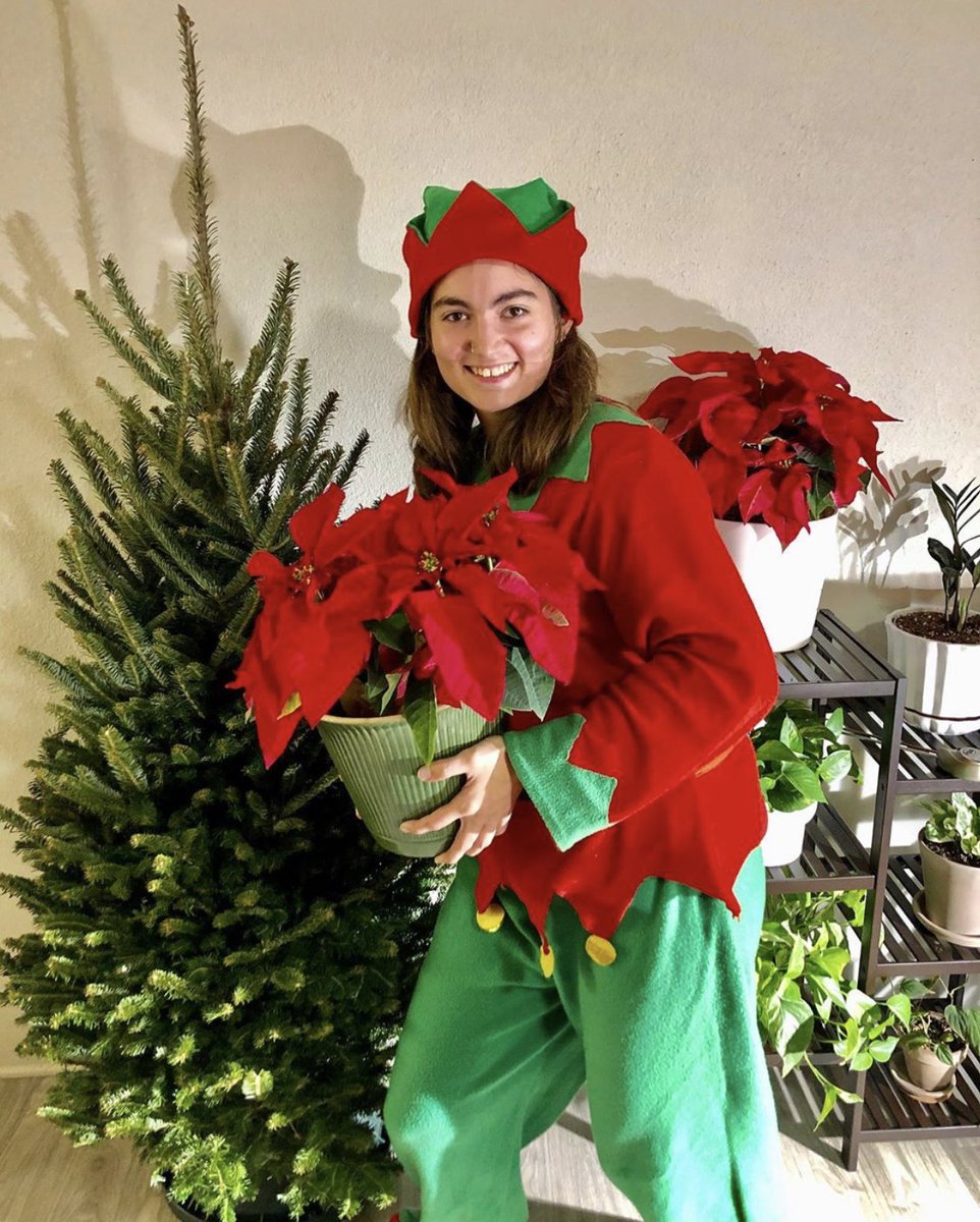 TreeElves tweet media