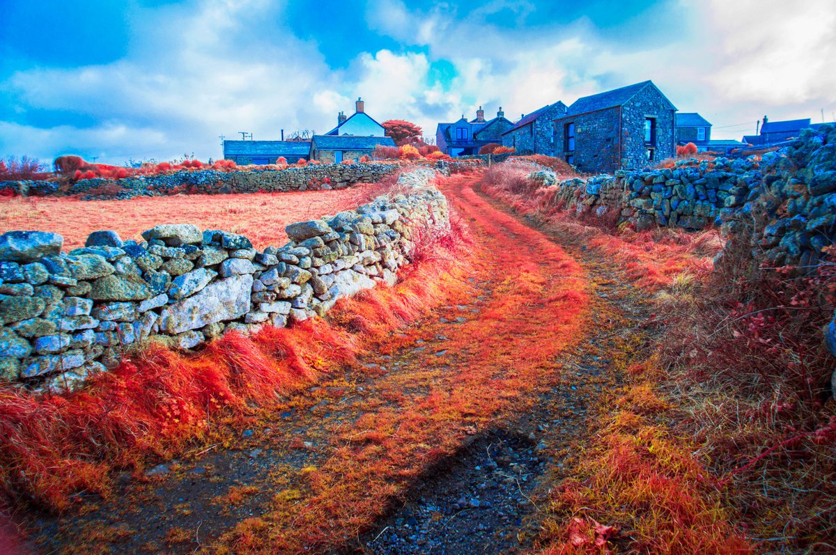 KernowChrome's tweet photo. Trackway to Seaward Barn, Boscaswell, West Cornwall   #infrared #infraredphoto #infraredphotography #aerochrome #cornwall #pendeen #boscaswell https://t.co/ueZlcVX3VF