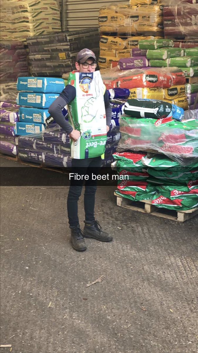 nuttyfilly's tweet photo. @FibreBeet we have the super hero all be it upside down! #fibrebeetman #wellandvalleyfeeds https://t.co/CrM1H5Doib