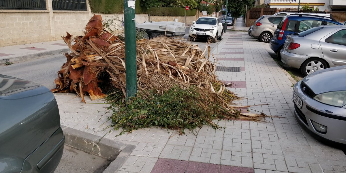 MalagaPor's tweet photo. @MalagaPor @BarriosMalaga @AscoMalaga @malaga @MLG_nofunciona @serdemalaga @BasuraEsBasura @pacodelatorrep @CenacheroCabrea @apadrina1mueble @OrgullodeMalaga @MalagaSucia @QuejasMalaga @CuidameMalaga @nofuncionaMLG @AquiMalaga @CuidameMalaga @XLimpia @LimasaOficial Calle Soliva https://t.co/wHxDH5HsyF
