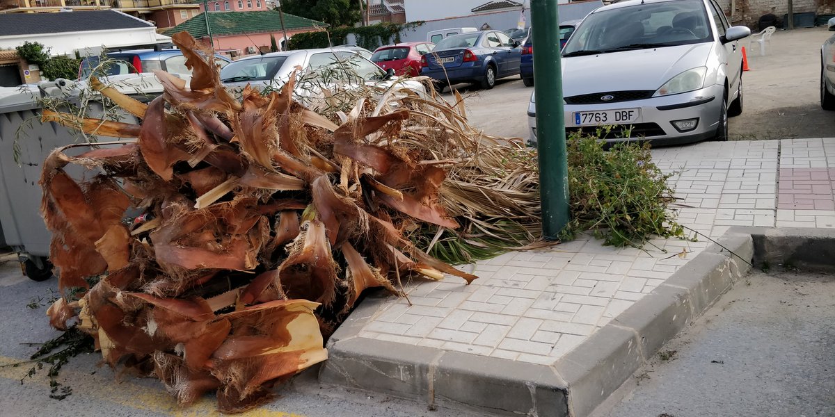 MalagaPor's tweet photo. @MalagaPor @BarriosMalaga @AscoMalaga @malaga @MLG_nofunciona @serdemalaga @BasuraEsBasura @pacodelatorrep @CenacheroCabrea @apadrina1mueble @OrgullodeMalaga @MalagaSucia @QuejasMalaga @CuidameMalaga @nofuncionaMLG @AquiMalaga @CuidameMalaga @XLimpia @LimasaOficial Calle Soliva https://t.co/wHxDH5HsyF