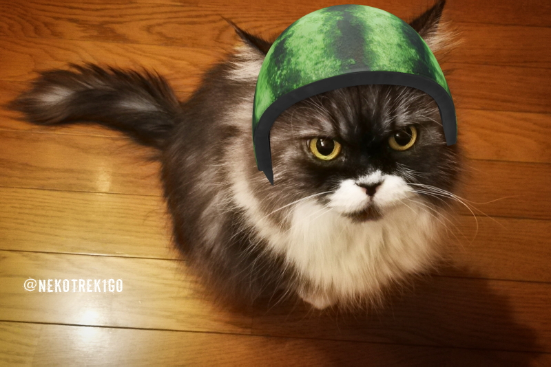Nekotrek1go's tweet photo. 出川哲朗しゃんトレンド入りしてるにゃり😺
うちらも出川しゃんみたく愛されキャラににゃりたいニャ~❣️
#snow #catsnow #充電させてもらえませんか https://t.co/CoMhw3ChYv