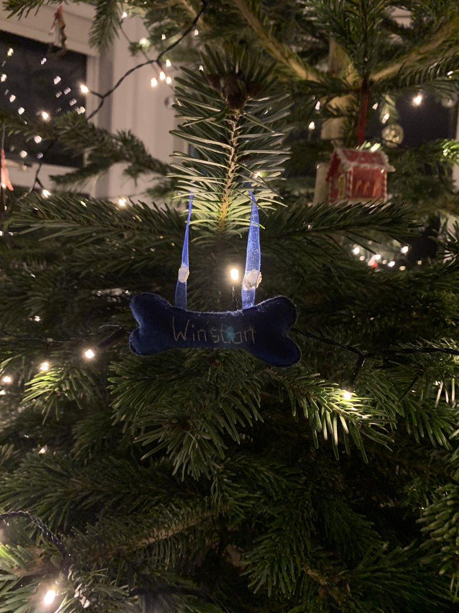 robmurray11's tweet image. Winston approves of the #Christmas Tree this year. He even has his own decorations thanks to Christine &amp;amp; Joc! Massive thanks @DuffTrees &amp;amp; @lousbakestop for not disappointing again! Great day yesterday #WinstonsAdventures🐶 #ChristmasTree #Labrador #Puppy