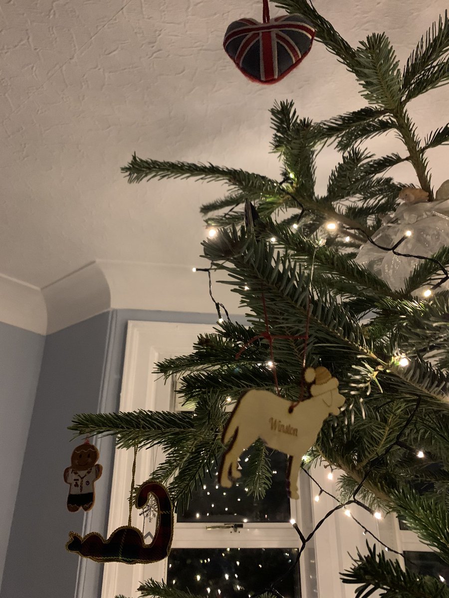robmurray11's tweet image. Winston approves of the #Christmas Tree this year. He even has his own decorations thanks to Christine &amp;amp; Joc! Massive thanks @DuffTrees &amp;amp; @lousbakestop for not disappointing again! Great day yesterday #WinstonsAdventures🐶 #ChristmasTree #Labrador #Puppy