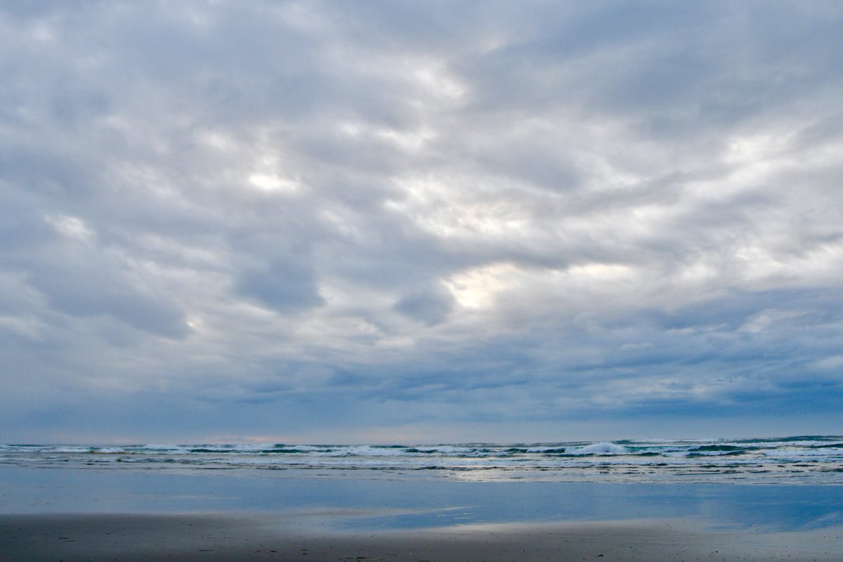 Ray Prestegard tweet media