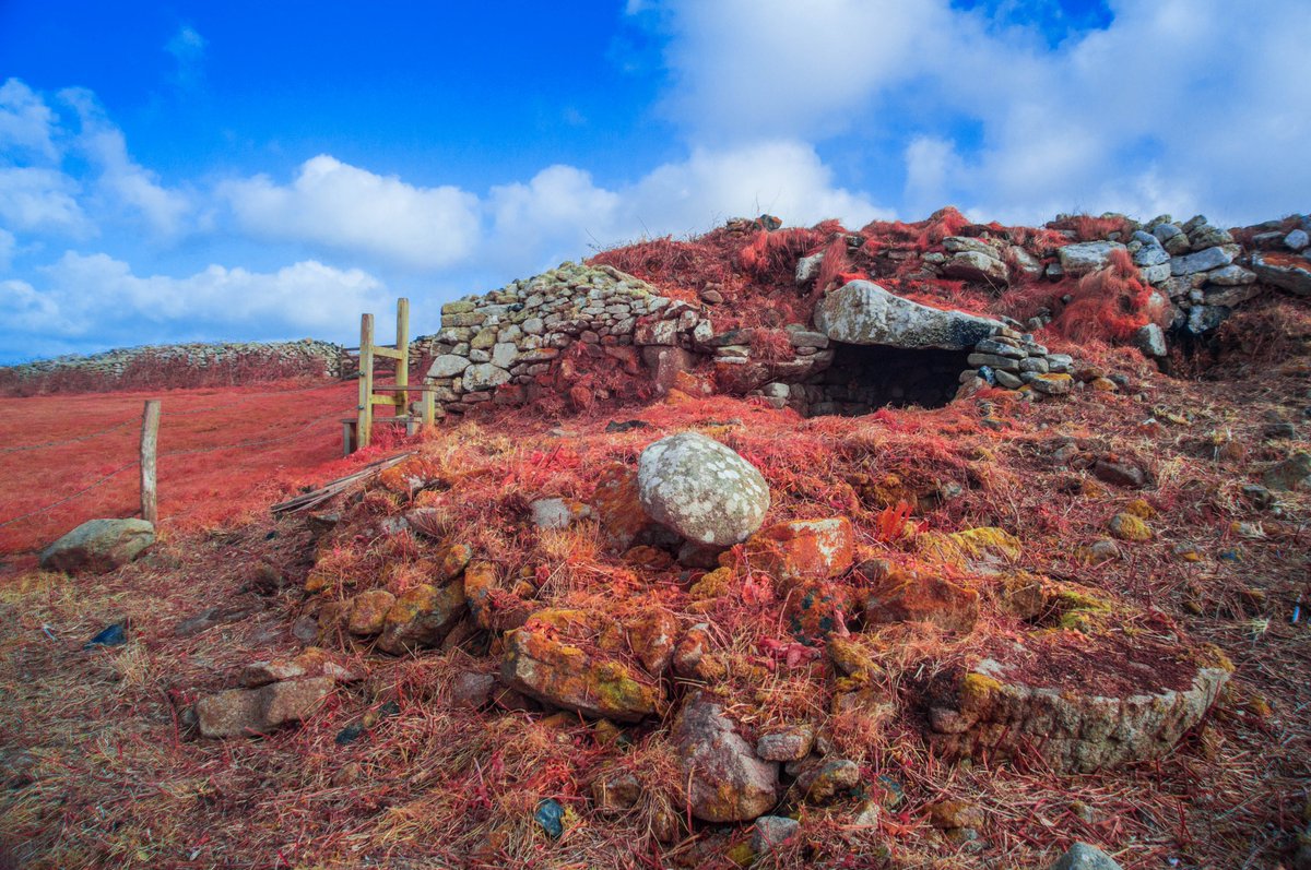 KernowChrome's tweet photo. Boscaswell Fogou, ancient site, West Cornwall   #infrared #infraredphoto #infraredphotography #aerochrome #cornwall #ancientsite #fogou #boscaswell #pendeen https://t.co/TexzjM10RG