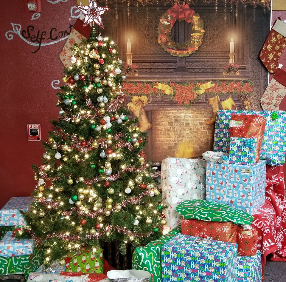 Premier High Schools tweet media