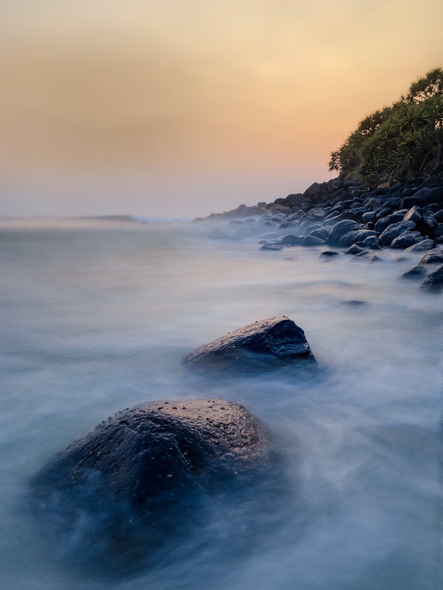 Rob Layton tweet media