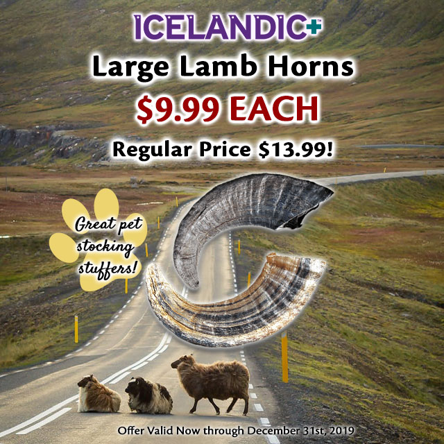 CherrybrookPet's tweet photo. Stock up on @icelandicplus lamb horns! This month only, get them for $9.99/each - they make perfect stocking stuffers for the #mansbestfriend in your life. Shop your local Cherrybrook store or order them online today! #dogsoftwitter #dogsofnj #dogsofnewjersey #ilovemydog https://t.co/DZiW4h9hpx