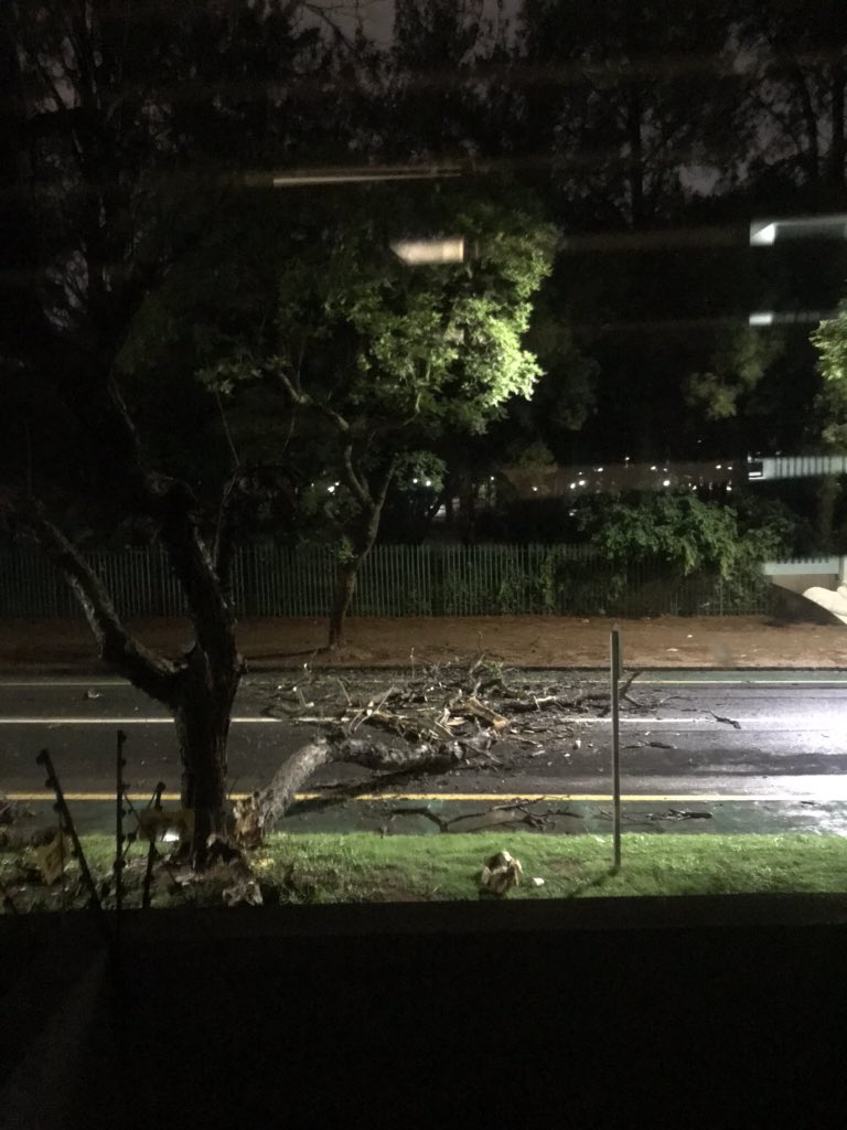 Char1ss's tweet photo. @CityTshwane please come remove the giant tree in Park Street i. Front of Girls High. Multiple cars have collided with the stumps. The police were here and left without securing the road or taking safety measures. https://t.co/muYIUqgFtK