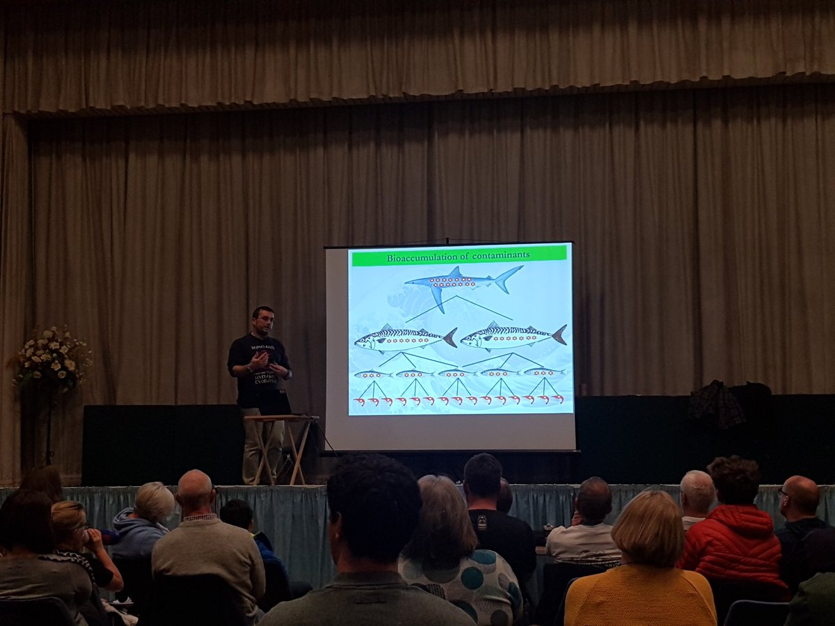 ConChatUK's tweet photo. Thank you to everyone who came to our #Shark talk! @UKBlueShark @OpCetUK @lupine_media #SealProject @stupotcollier @laurahroberts #ConservationChatUk https://t.co/pD0oRd4LYT