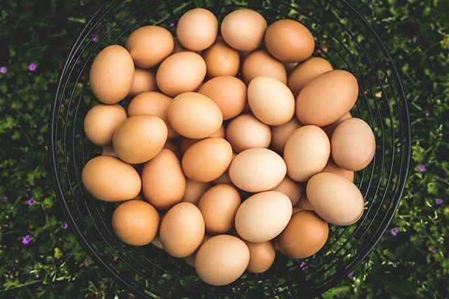 CentralParkFarm's tweet photo. // It’s Contest Time // I’m really feeling the love this past month as we  help so many members of our farm-ily and community get ready for the holidays with their family and friends.
.
I am truly so honoured that you choose us to help you not only with … https://t.co/AG7fD2kIK7 https://t.co/B8sZcMhclN