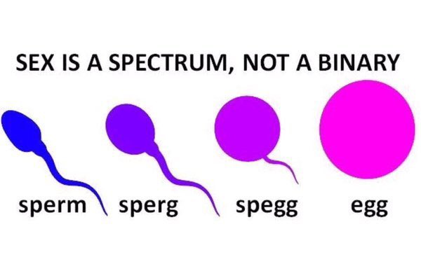 TransphobiaC's tweet photo. .@joswinson is a doing a cracking job  of shilling for a pharmaceutical company...er, I mean, standing up for the most marginalised and oppressed. If they ask you the hard questions again, love, just refer to this handy picture another activist posted. https://t.co/jo2pydRIFn