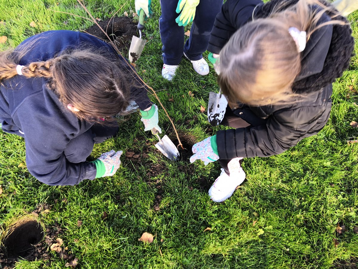 EasyTreesIE's tweet image. Well said Mary Robinson and the team of Irish young people. We&apos;re planting trees with children in Dublin this week, every tree helps. #naturesolutions #teamtrees @PlantAhead @plantfortheplanet_official @MaryRobinsonCtr!
